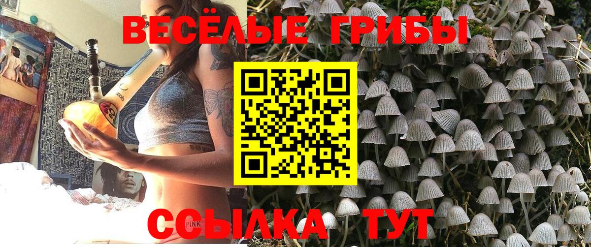 Лабытнанги  Галлюциногенные грибы прущие грибы  Вход с VPN 